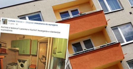 Sezon na wynajem mieszkań w pełni. W te ogłoszenia aż trudno uwierzyć