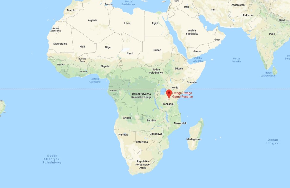 Odkrycie w rezerwacie Swaga Swaga w Tanzanii 