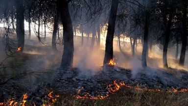Płonące lasy w rejonie Madrytu