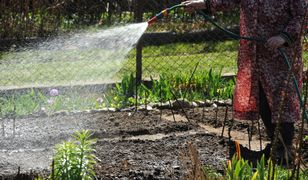 Mieszkańcy dostaną po kieszeniach. Cena wody do podlewania ogrodu w górę o 2 tys. procent
