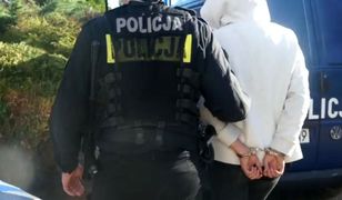 Samosąd pod Chełmem. 15-latek nagrał bójkę dziewczyn, miał zostać wywieziony do lasu