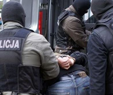 Sprzedawał gry przez Internet. Usłyszał kilka tysięcy zarzutów