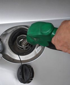 Niewielkie zmiany w cenach paliw