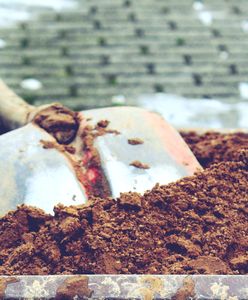 Zabili szczeniaki. W zamian dostali butelkę wódki