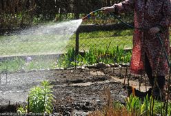 Mieszkańcy dostaną po kieszeniach. Cena wody do podlewania ogrodu w górę o 2 tys. procent