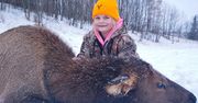 8-latka zastrzeliła łosia. Zdjęcie ze zdobyczą szokuje ludzi