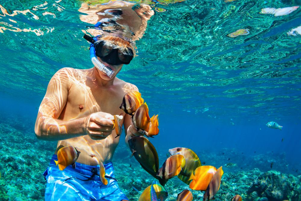 Snorkeling - jak zacząć? Wybieramy sprzęt do snurkowania