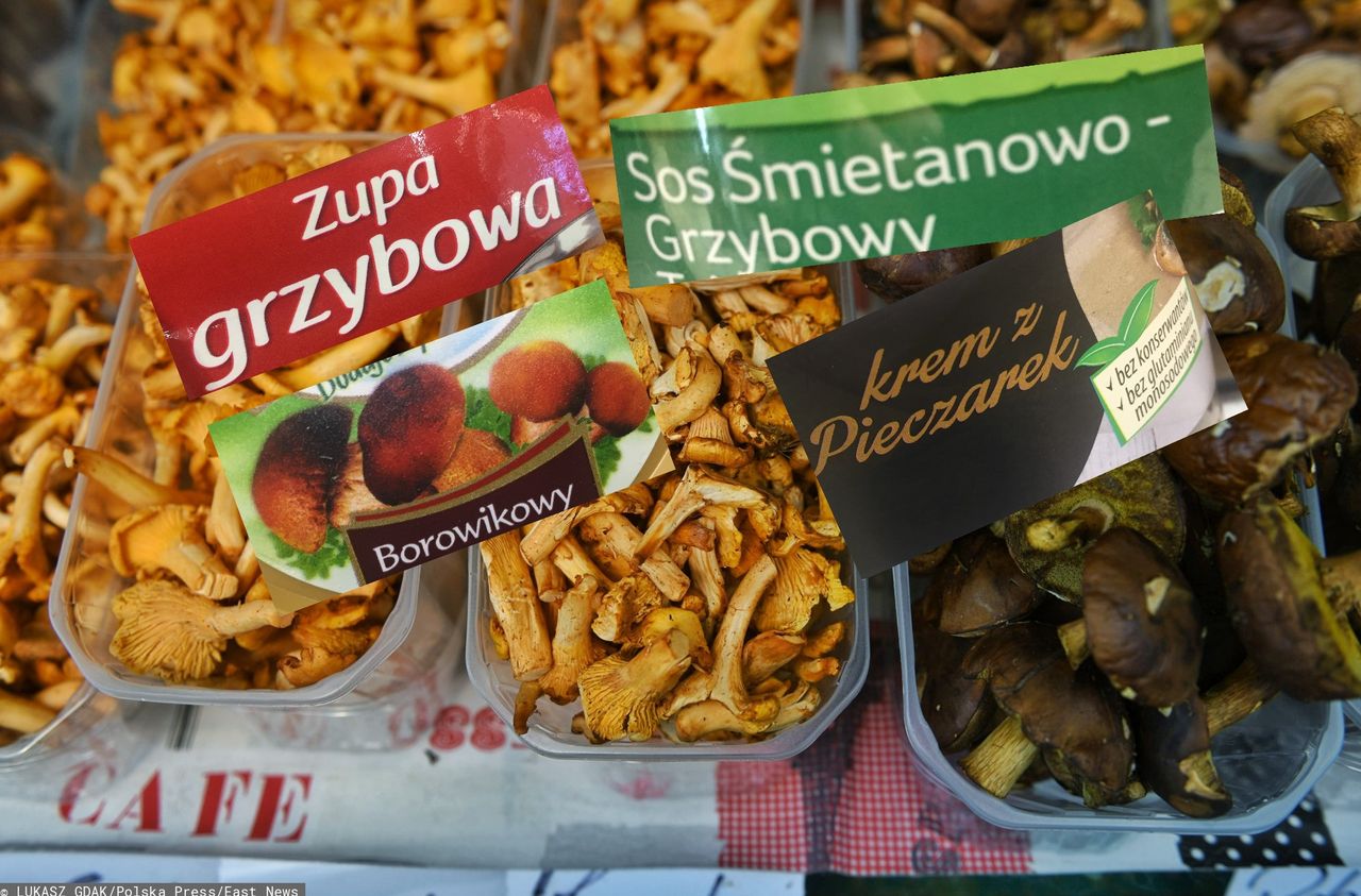 Supermarket zamiast lasu? Sprawdziłam, ile grzybów znajdziemy w gotowych produktach ze sklepu