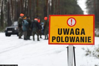 Podatek od dzika. Fiskus przychodzi do myśliwych