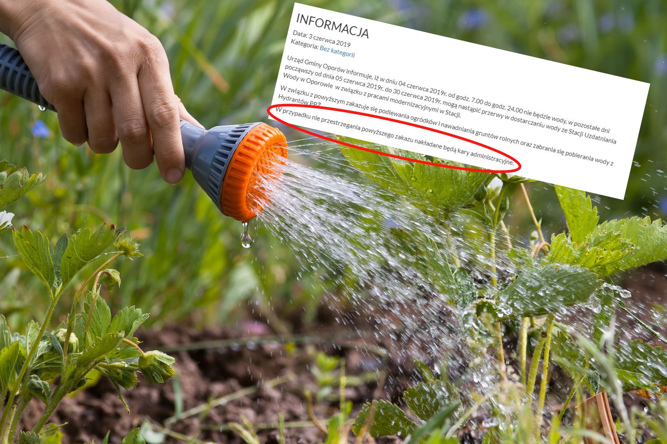Od 500 zł wzwyż może kosztować załamanie zakazu podlewania ogrodu i mycia auta w upał. 