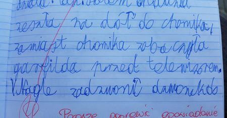 Polonistka karci dziecko za wypracowanie. Nawet Sylwia Chutnik stanęła w jego obronie