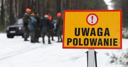 Podatek od dzika. Fiskus przychodzi do myśliwych