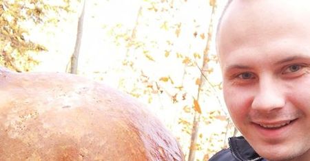 Grzybobranie na całego. Grzyb z Dolnego Śląska rozgromił konkurencję