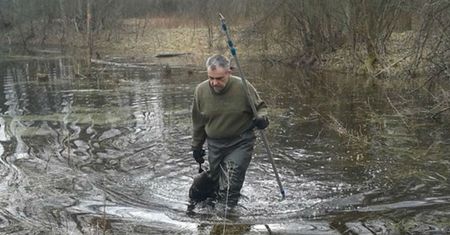 Problem z bobrami? Jedyny zawodowy łowca w Polsce zastrzelił ich ponad tysiąc