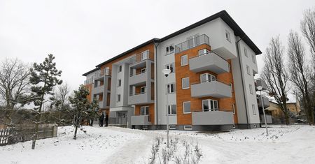 Mieszkania komunalne. Gmina sprawdzi, czy nie jesteś zbyt zamożny na tego typu lokal
