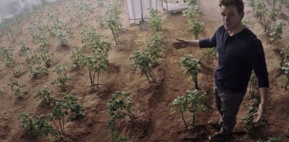 NASA przetestuje uprawę ziemniaków na Marsie