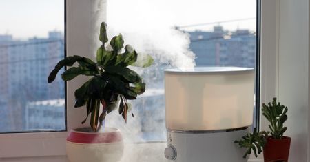 Jak nawilżyć powietrze w domu? Skuteczne sposoby