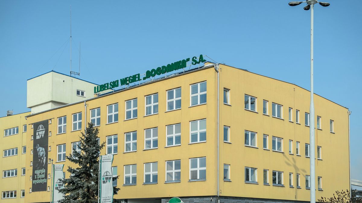 Tu na razie jest kopalnia, ale będzie elektrownia. Przynajmniej według planów Enei i Mitsubishi Hitachi Power Systems.