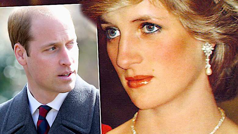 Księżna Diana, książę William, przykrość