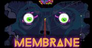 Membrane - cyfrowe LSD