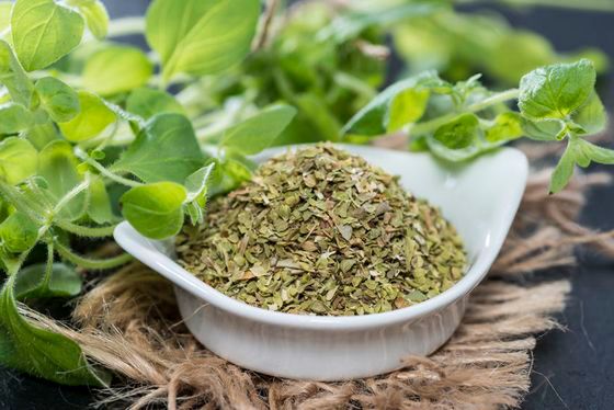 Oregano to popularna przyprawa w kuchni włoskiej