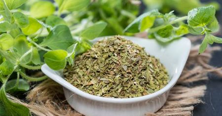 Oregano (lebiodka pospolita) - właściwości i zastosowanie przyprawy