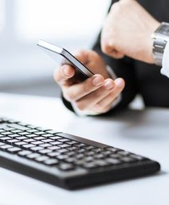 W jakich branżach znajdziemy zatrudnienie?