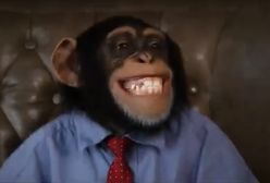 Nowy klip PiS. Tak podsumowali konwencję Koalicji Obywatelskiej