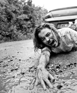 Gwiazdy w kontrowersyjnej sesji przeciwko porzucaniu zwierząt