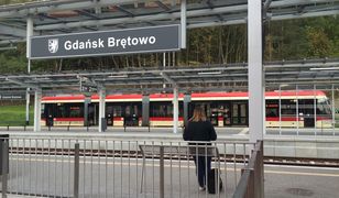 Zakopał tam 10 worków z ludzkimi ciałami. Policja przeszukuje teren wokół gdańskiej stacji PKM