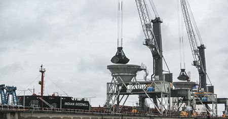 Gdańsk. Kolejna akcja Greenpeace. Aktywiści weszli na żurawie