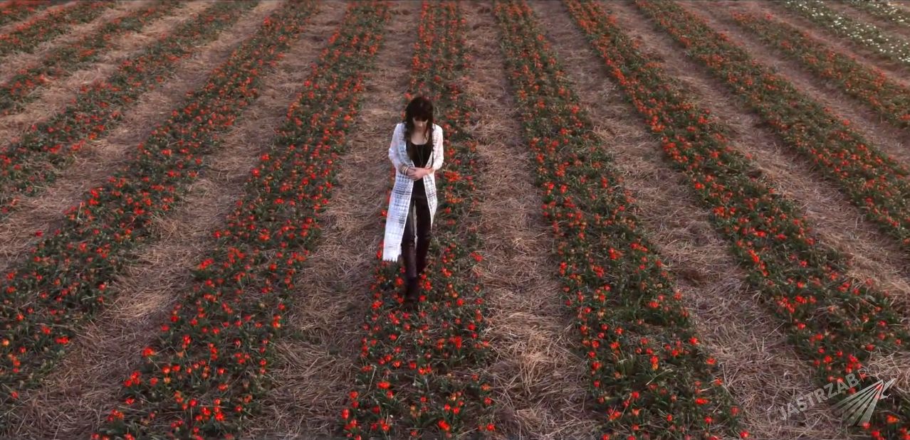 Teledysk Sylwii Grzeszczak Kiedy tylko spojrzę na polu tulipanów (YouTube)