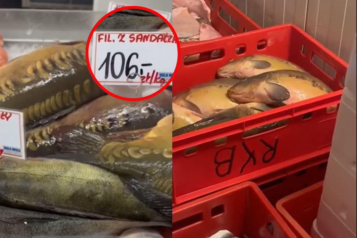 Koszmar ryb w markecie
