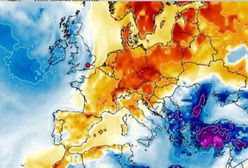 Pogoda. Kiedy nadejdzie wiosna? Synoptycy zapowiadają upały