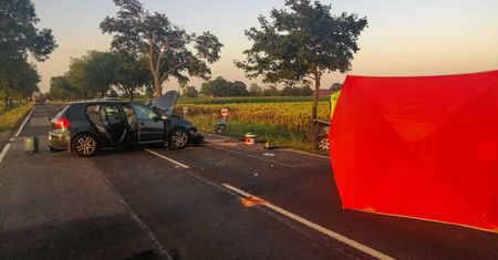 Dziadkowie zginęli w wypadku. Tragedia w Wielkopolsce