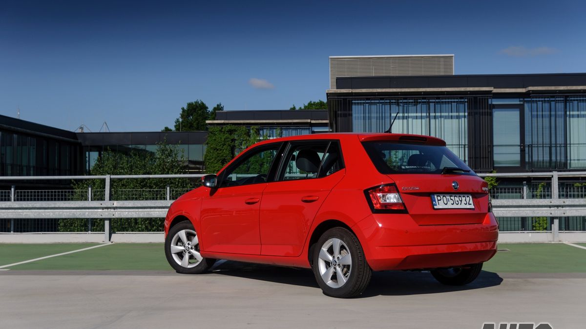 Zdjęcie ilustracyjne do artykułu