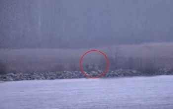 Estonia: Rosyjscy żołnierze przekroczyli granicę NATO. Wszystko się nagrało