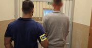 Skrzywdził dziewczynkę w toalecie. Zatrzymany 31-latek ze Śląska