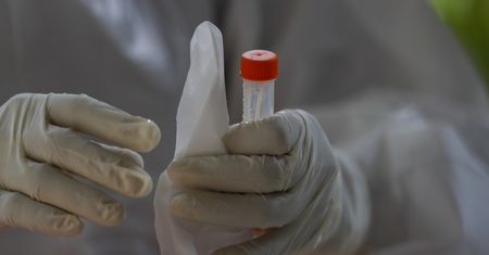 Koronawirus. Poznańscy naukowcy stworzyli nowy test na SARS-CoV-2