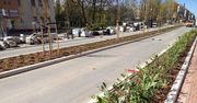 Trwa przebudowa ulicy Zwycięstwa w Koszalinie. W centrum miasta robi się zielono