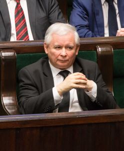 Nowy sondaż. PiS traci poparcie