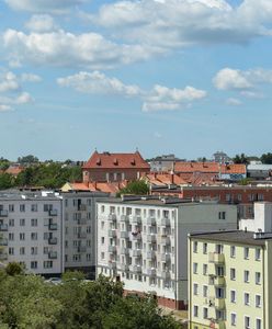 Nietypowy pomysł. Zatrudnili artystkę, żeby zaoszczędzić na remontach