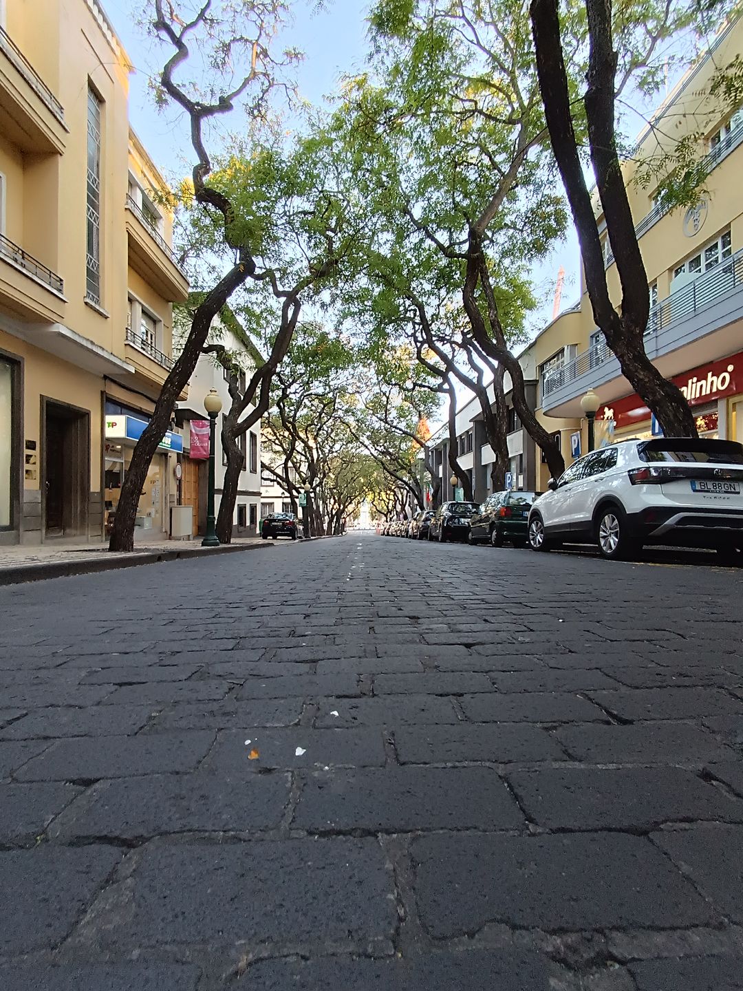 Ulica w Funchal