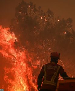 Południe Europy w ogniu. Zginęło dwóch strażaków
