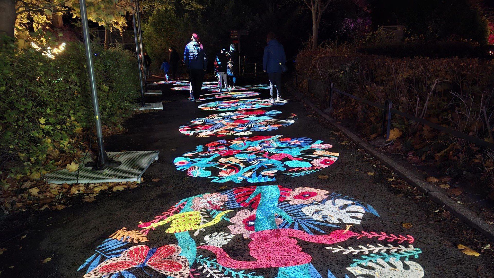 Dzika Ameryka w ZOO Wrocław - światło, które pomaga chronić naturę