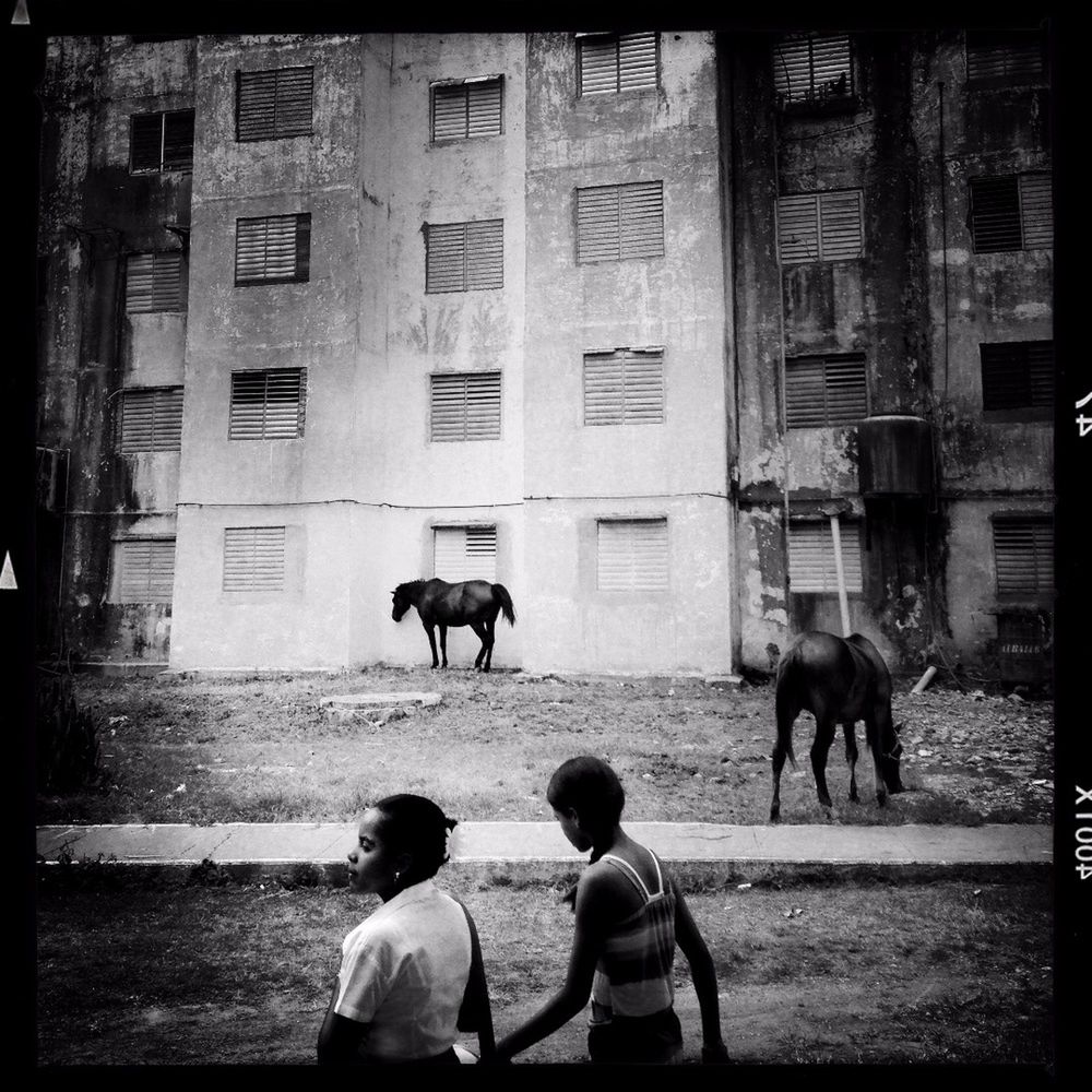 H-artcollective - mobilna fotografia uliczna 7