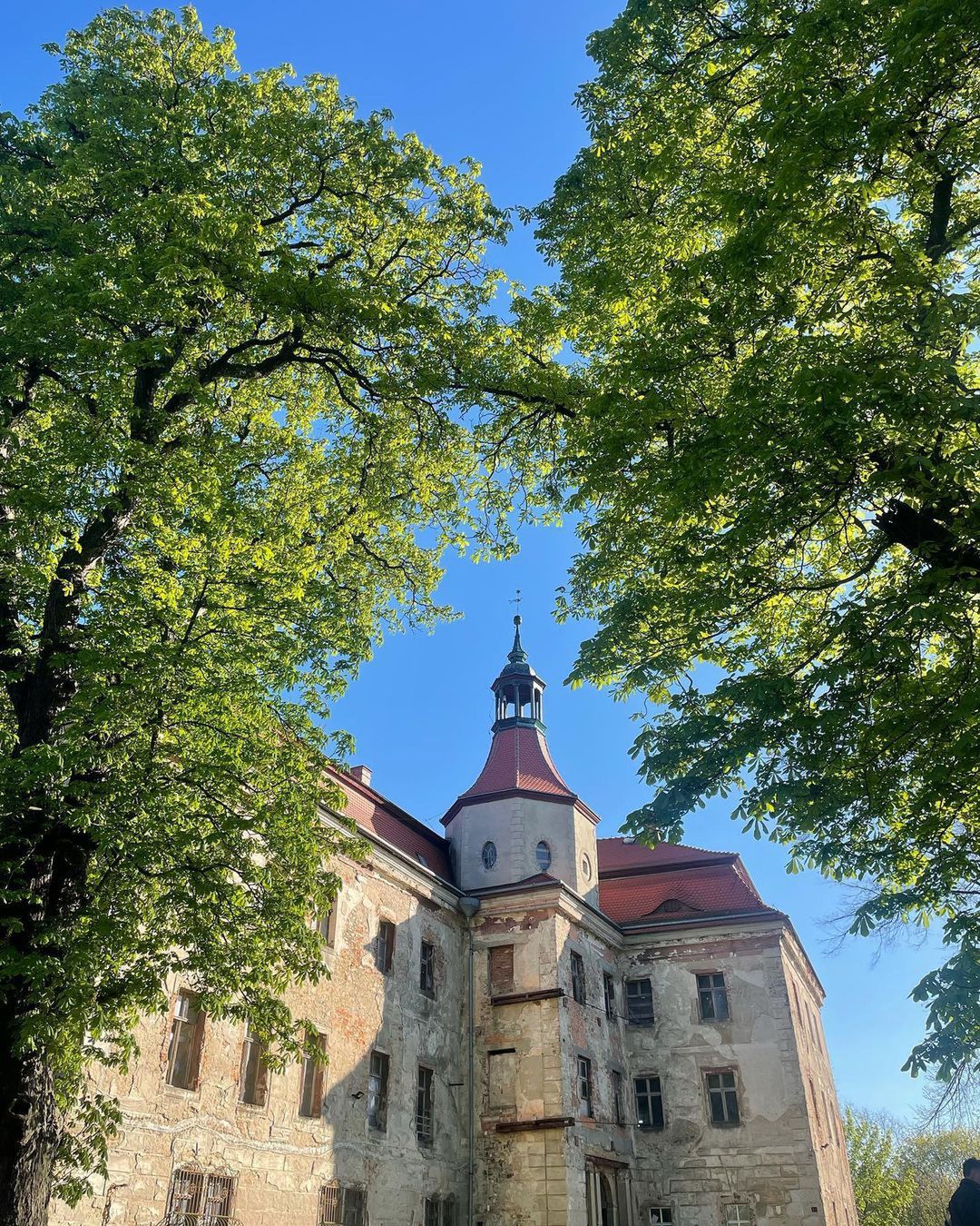Zamek Macieja Musiałowskiego