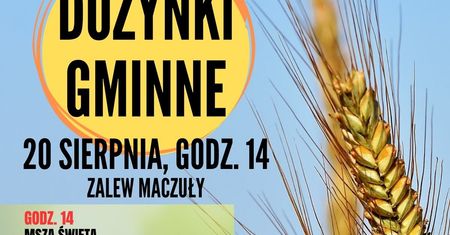 Dożynki Leśniowice nad Zalewem Maczuły 2023. Gwiazdą imprezy zespół Nokaut