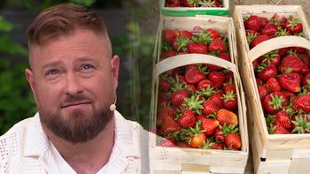 Łukasz z "Rolnika" o cenach truskawek. "Będzie jeszcze drożej"