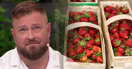 Łukasz z "Rolnika" o cenach truskawek. "Będzie jeszcze drożej"